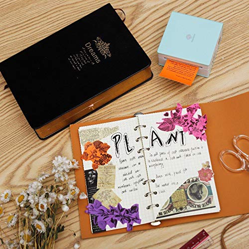 Phomemo Colorful Thermal Sticker Paper for Phomemo M02/M02 Pro/M02S/M03 Mini Printer, Black Character on Purpple/Rose/Orange, 50mm x 3.5m, Diameter 30mm, 3 Rolls