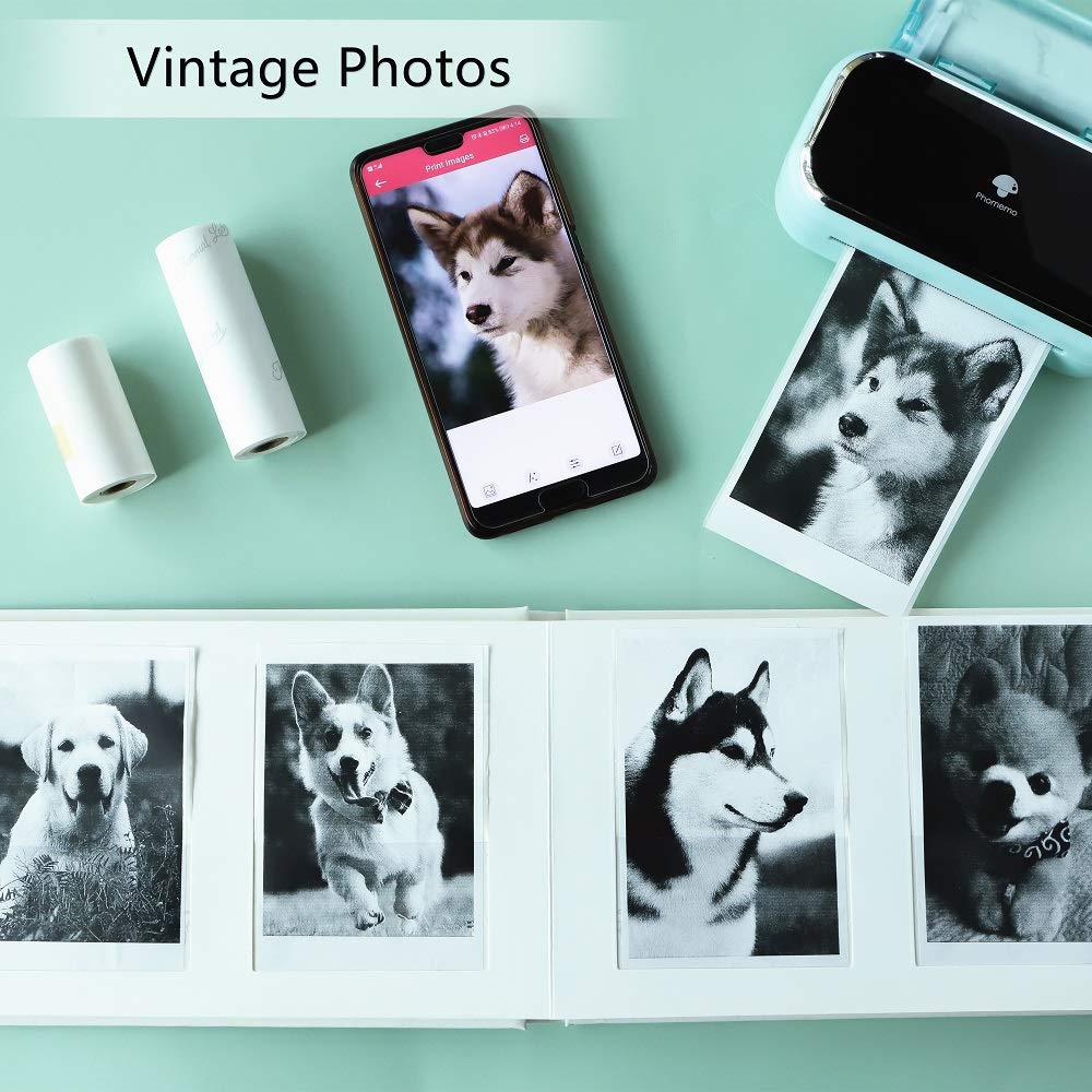 Phomemo Papier autocollant 80 mm - Noir sur blanc - Pour mini imprimante thermique Phomemo M03, M03AS, M04S, M04AS - 80 mm x 3,5 m - Durée de vie de 2 ans - Trois rouleaux par carton