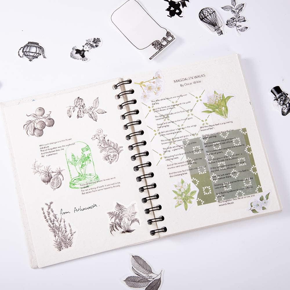 Phomemo Papier 6er Set Selbstklebend, transparent, weiß, halbtransparent, Thermodruckerpapier für Phomemo M02PRO, T02, M02, M02S, M03, M03AS, M04S