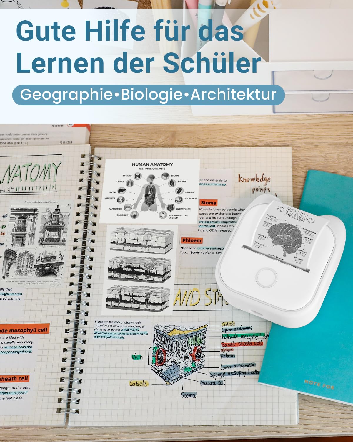 Phomemo Mini-printer, T02 fotoprinter voor smartphone, mobiele telefoonsticker, thermische printer voor iOS en Android, draagbare sticker, bluetooth-printer, kleine printer voor organizer, tieners,
