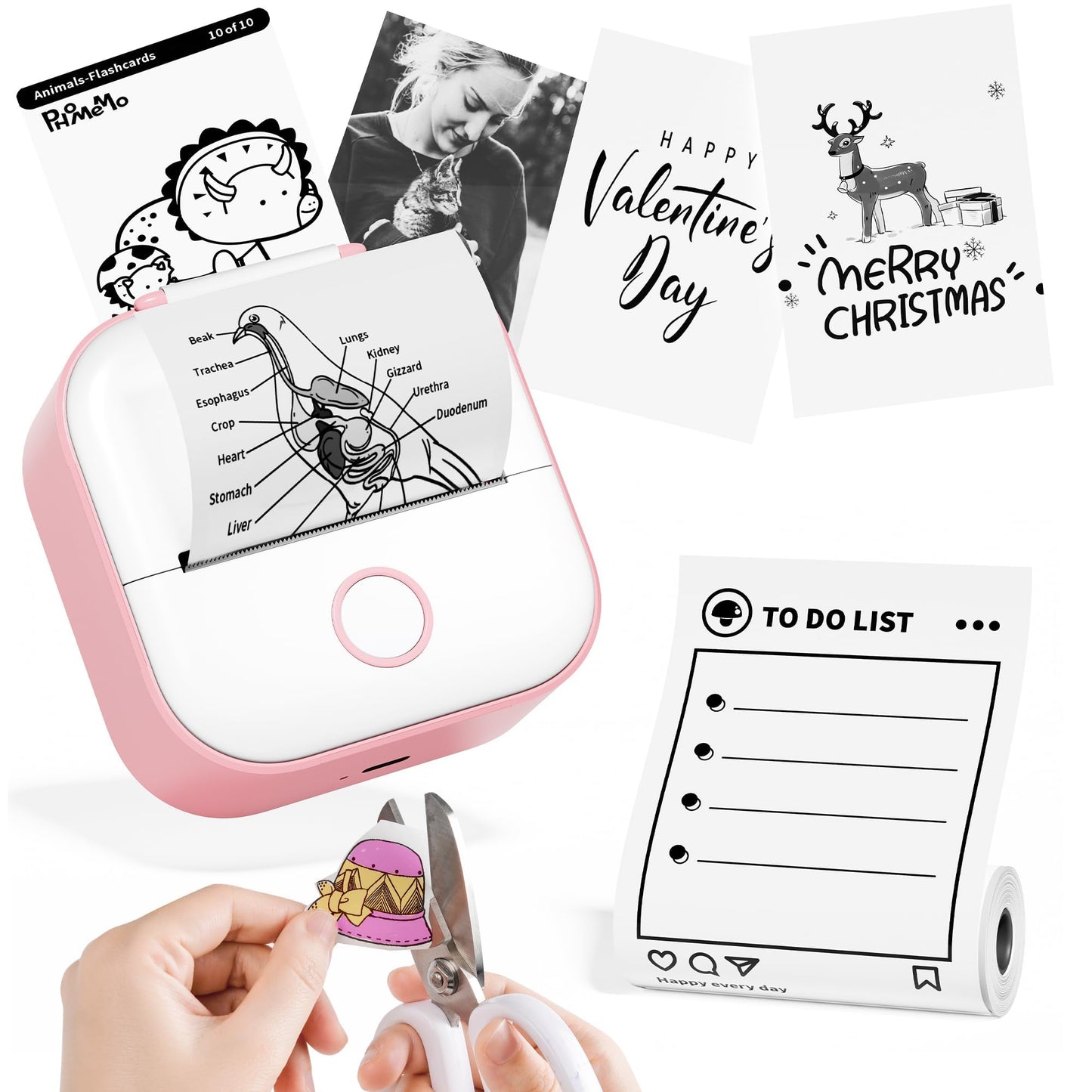 Phomemo T02 Drucker, Mini Sticker Fotodrucker f¨¹r Mobiler, Handy Thermodrucker f¨¹r Smartphone, 203dpi H?nde Sticker Drucker,Aufkleber Bluetooth Drucker f¨¹r Organizer Teenager Student Lehrer