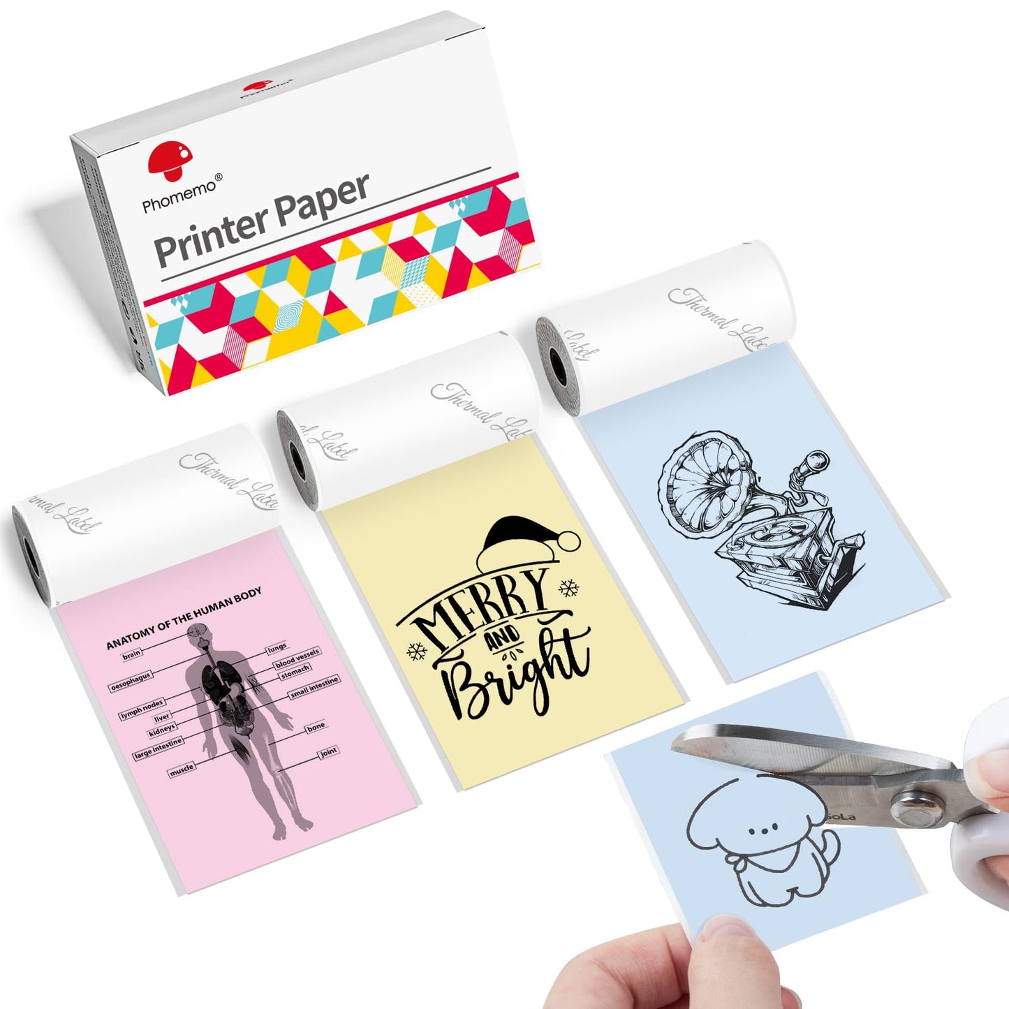 Phomemo 53 mm thermisch papier, kleur voor M02/M02S/M02Pro/M03/M03AS/M04S/M04AS mini-zakprinter, geel/blauw/roze, 3 rollen zelfklevend gekleurd stickerpapier, 53 mm x 6,5 m, 20 jaar conservering