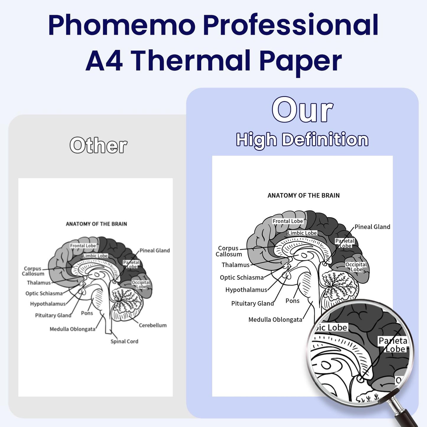Phomemo A4 Imprimante Papier, Papier thermique blanc ¨¤ s¨¦chage rapide pour imprimante thermique portable A4 M08F/P831/M832/M833/M834/M835, 8.27'' x 11.69''(210mm x 297mm), 100 feuilles/bo?te