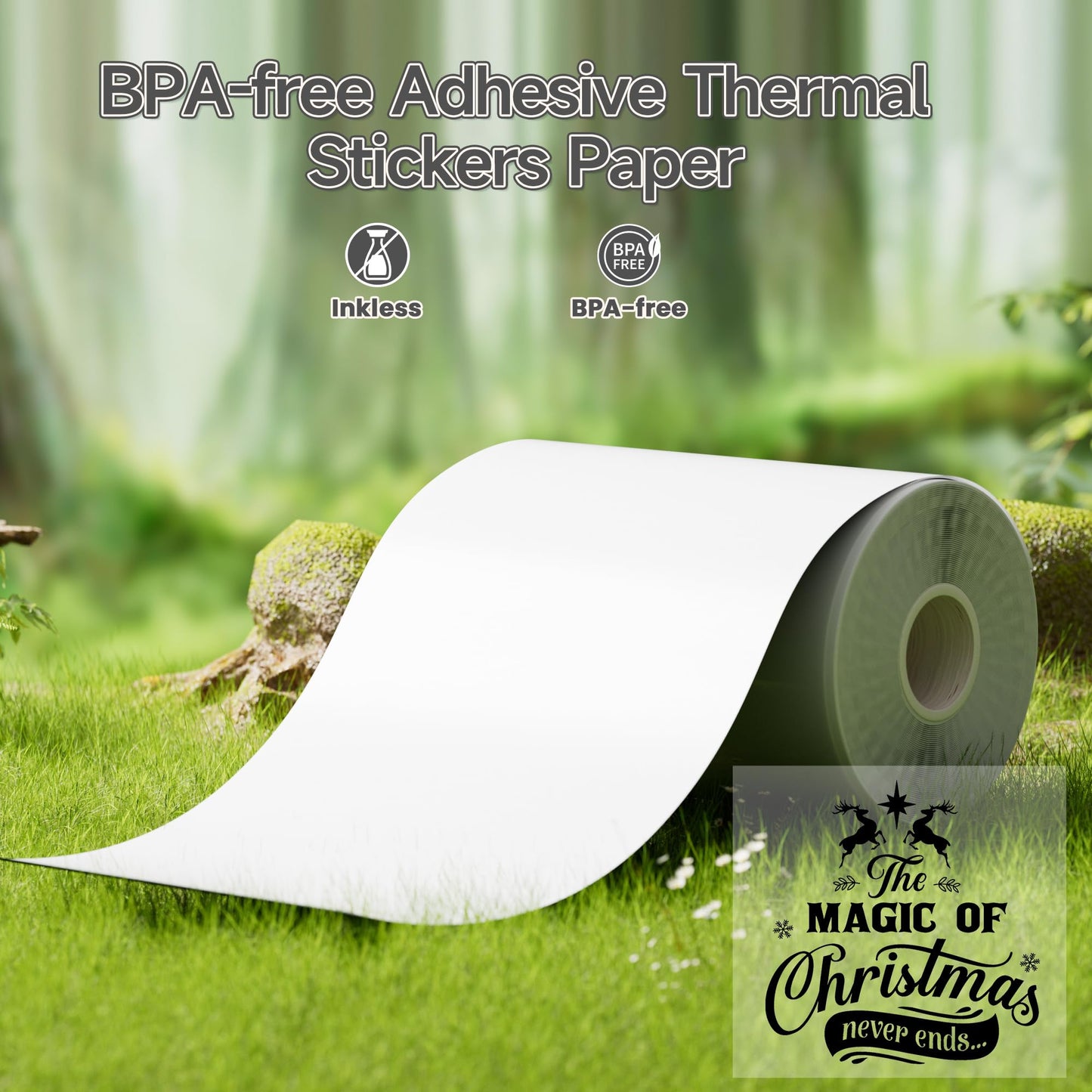 Phomemo Transparent Self-Adhesive Thermal Paper, Compatible with Phomemo T02/M832/M02/M02S/M04S Thermal Printer, 50mm x 3.5m, 3 Rolls