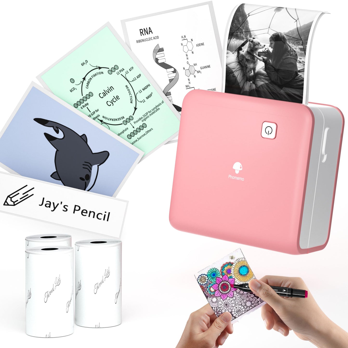 Phomemo Bluetooth printer, thermal photo printer, mini sticker, printer, mobile phone, pocket printer, 300 DPI resolution for iOS and Android system, suitable for study, photo printing, work, memo,
