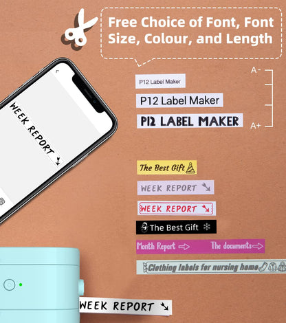 Phomemo P12-Pro Mini drukarka etykietuj?ca z Bluetooth, ?adowanie przez USB, drukarka etykiet do domu, biura i ma?ych firm, bezprzewodowa drukarka etykiet do telefon¨®w z systemem iOS i Android