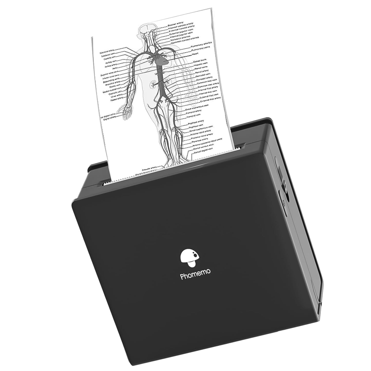 Phomemo M02 Mini Pocket Printer- Inkless Note Printer Portable Bluetooth Thermal Printer Pocket Printer for Organizing Office Documents, Work List Printing, Receipts, Black