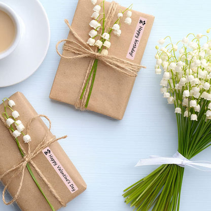 Phomemo D30 Continue labeltape, roze labels, thermische etiketten voor keuken, bestanden, adres, cadeau enz., 3 rollen