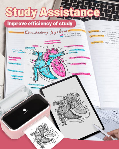 Phomemo Portable Printer,M03 80mm Mini Sticker Printer,Bluetooth Label Maker,Instant Phone Photo Printer,Compatible with Android & iOS, Labels,Study,Photos,Scrapbooking-Pink