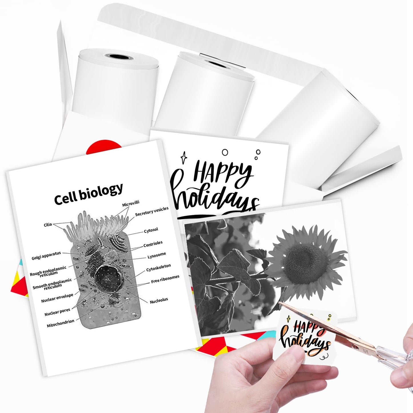 Papier für Sticker Drucker, Drucker Papier für Taschendrucker, Thermopapier für T02/Q02/M02X/M02L, 10 Jahre Klebrig Phomemo Papier, Schwarz auf Weiß Liene Fotodrucker Papier, 3 Rollen 50mm*3.5m