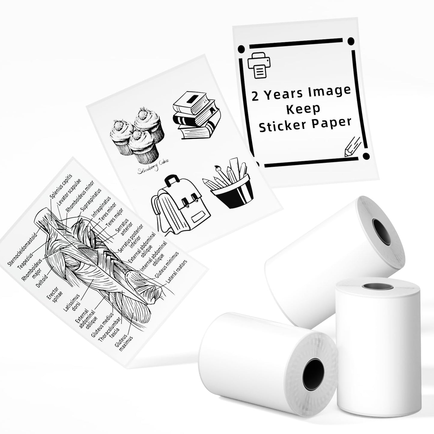 Phomemo T02/M02X/M02L Sticker Paper- Thermal Paper for Study Notes, Photo, DIY, Stickers, 2 Years Black on White Sticky Paper 50mm x3.5m, 3 Rolls