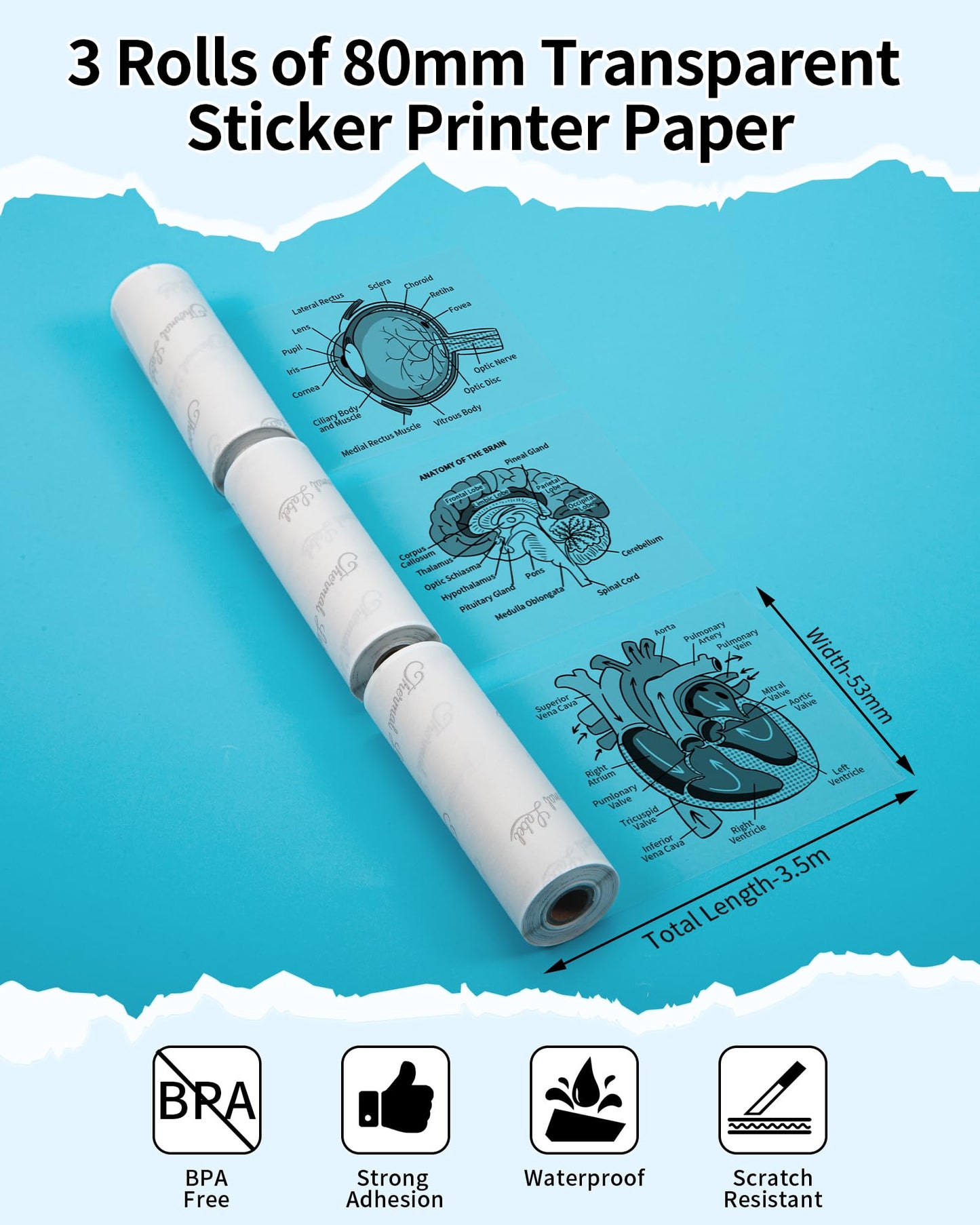 Phomemo Papier Thermique Transparent 80mm, Compatible avec les Mini Imprimantes M03/M03AS/M04S/M04AS, 3 Rouleaux d'étiquettes Autocollantes Thermiques Transparentes de 3 Pouces, 80mm x 3.5m