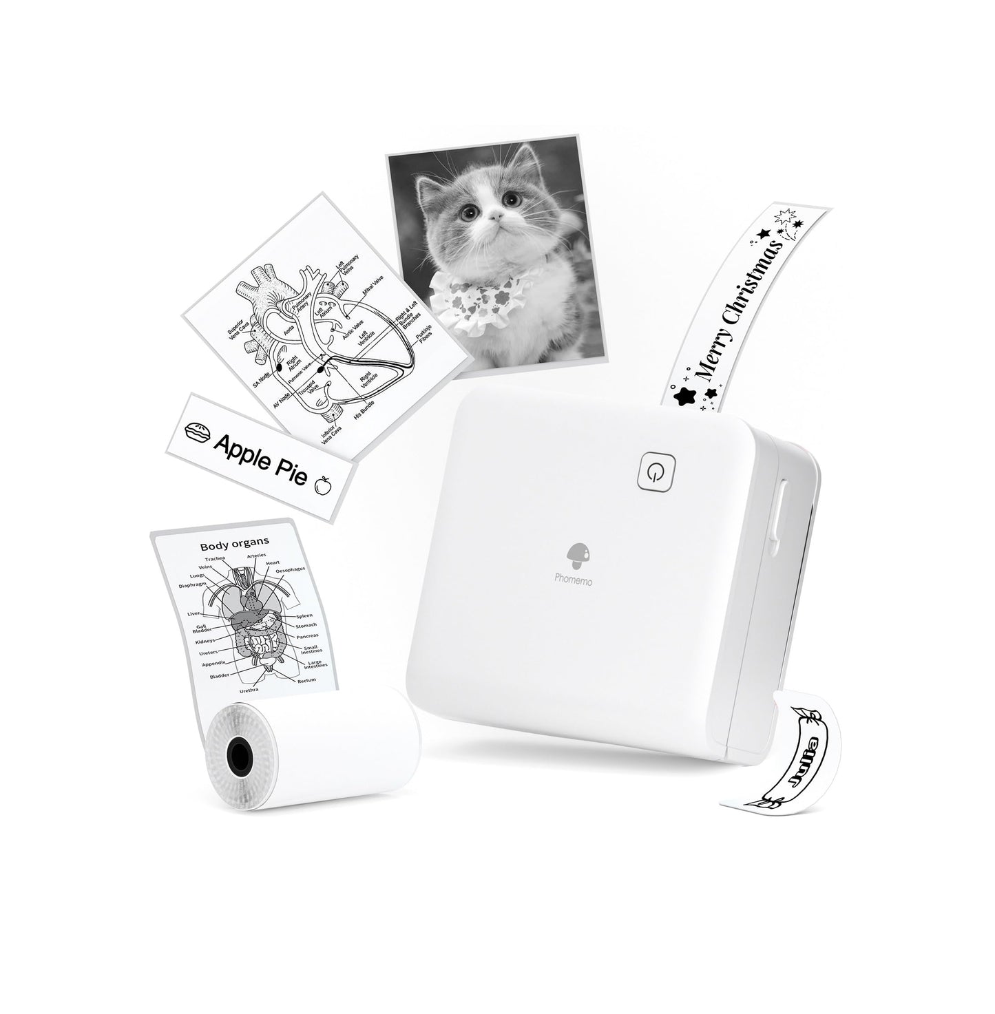 Phomemo 300dpi Pocket Mobile Pocket Printer- M02 Pro Thermal Bluetooth Portabel Mini Photo Printer Compatible with iOS and Android, for Photo Printing, Graffiti,Learning,Work, White