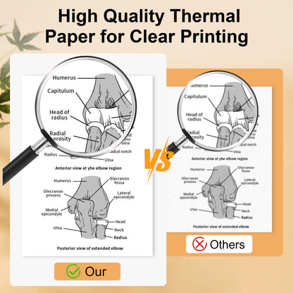 Phomemo US Letter Thermal Paper 4 Rolls, Size 8.5''x 11'', Supports Continuous Printing, M832 Thermal Paper Suitable for Travel, Business, Office, Compatible with M833 M834 M835 Portable Printer
