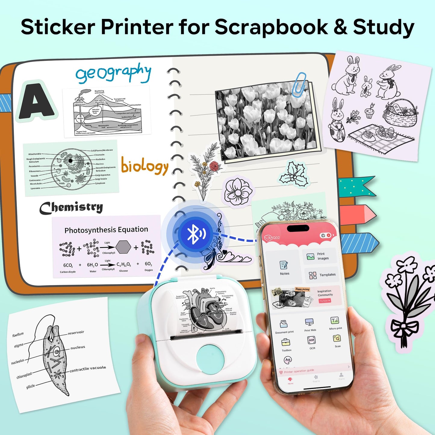 Phomemo Q02 Mini Sticker Printer ¡ª Bluetooth Thermal Printer, Sticker Maker Machine for DIY Stickers, Study Notes, Kids Gift, Compatible with Phone & iPad, Green