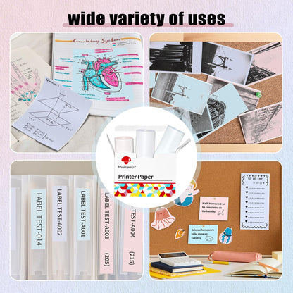 Phomemo Adhesive Thermal Sticker Paper for M832/M03/M03AS/M04S/M04AS Printer, Black on Purpple/Pink/Blue, 3.03''(77mm) Width X 3.5m Length, 3 Rolls, Stored for 20 Years